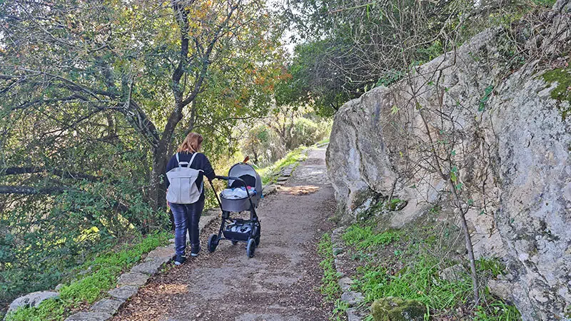 מסלול מתאים לעגלות