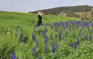 שמורת תורמוס ההרים נעורה
