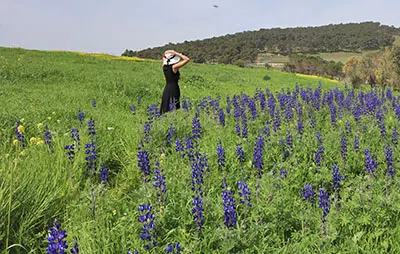 שמורת תורמוס ההרים נעורה