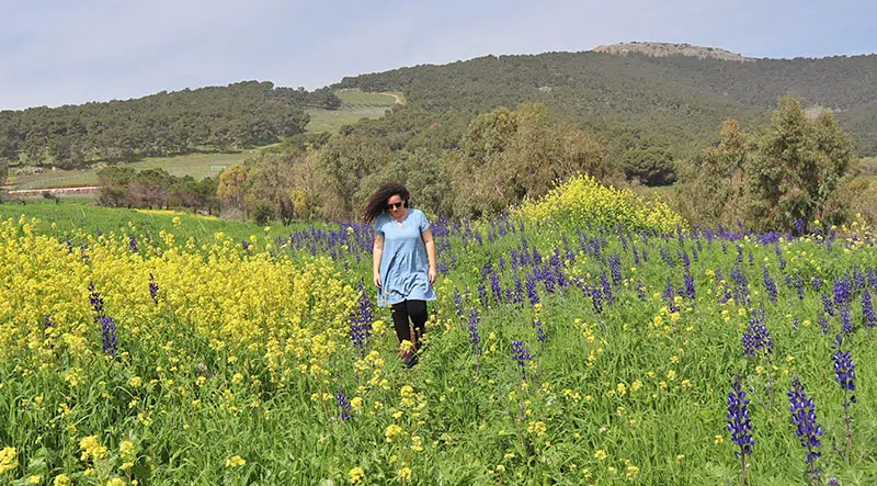 בלוגרית טיולים בשדה תורמוס הרים כחול