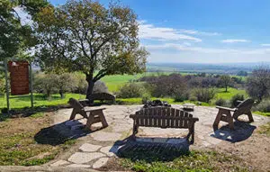 תצפיות בצפון מצפה שרון