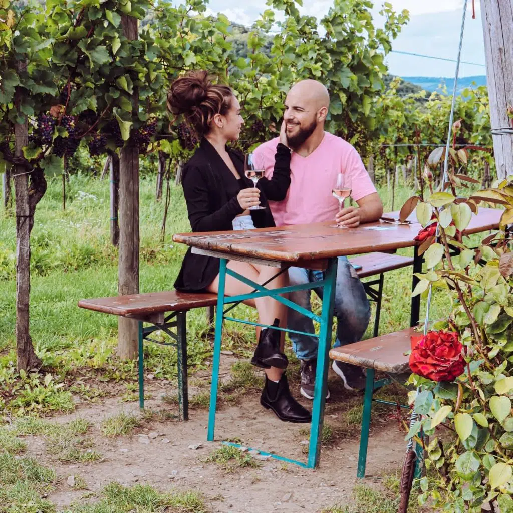 הכפר גרינציג ⁣