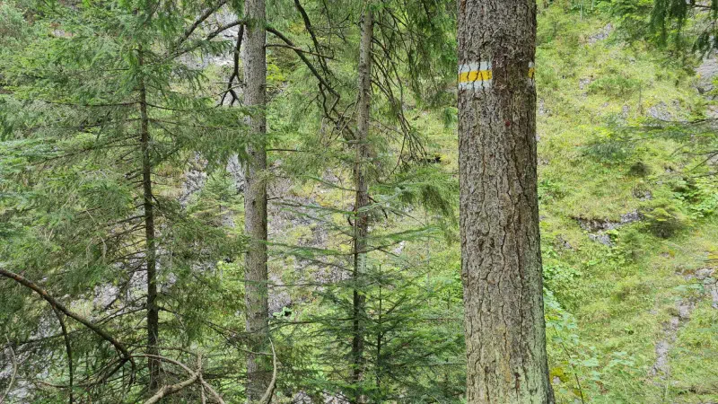 מסלול הליכה בדרום פולין