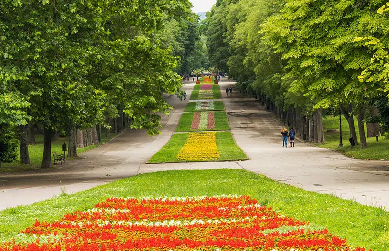 פארק הים בורנה שדרת פרחים
