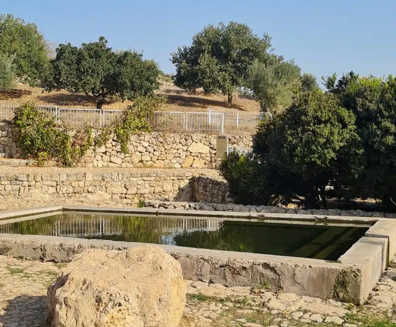 מעיין עין צור בשביל המעיין ברמת הנדיב