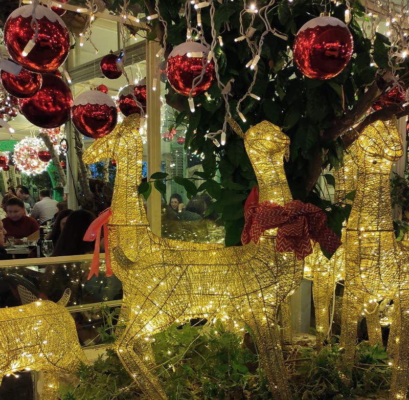 אורות במושבה הגרמנית בחיפה בחג המולד