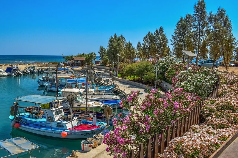 נמל דיג בקפריסין