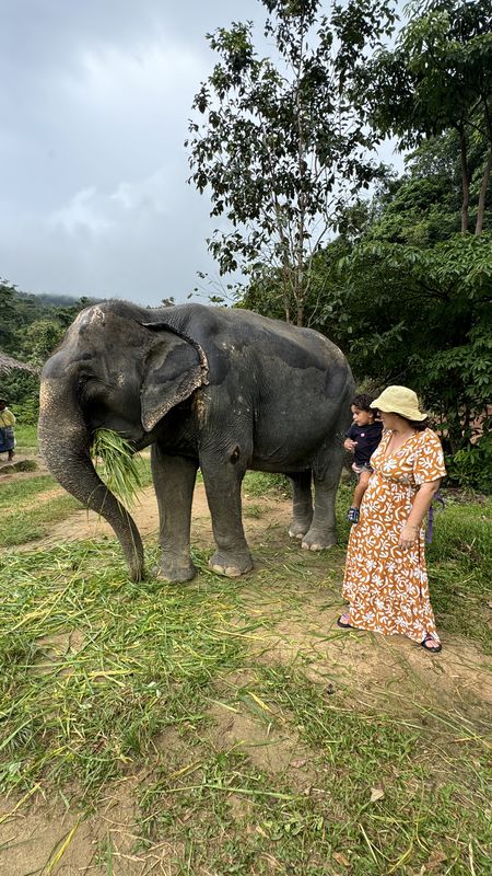שיר ים פסקה בלוגרית טיולים