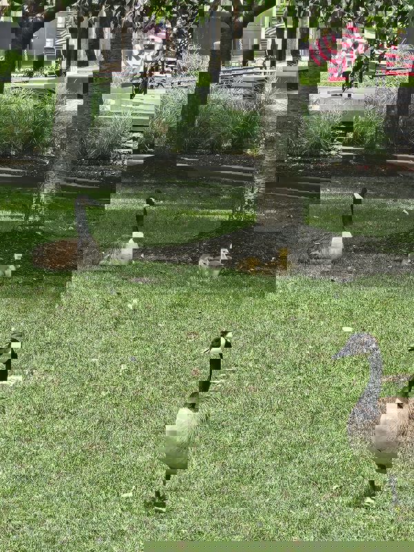 פארק על ההדסון, הובוקן, ניו ג'רזי