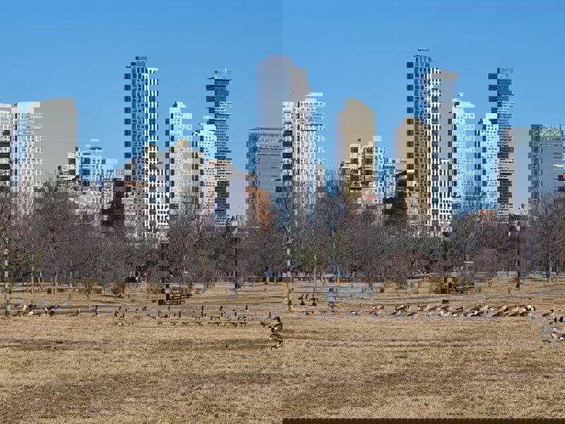 ליברטי סטייט פארק, ג'רזי סיטי, ניו ג'רזי