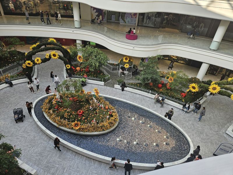 קניון אמריקן דרים ליד ניו יורק