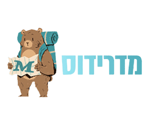 אייקונים (17)